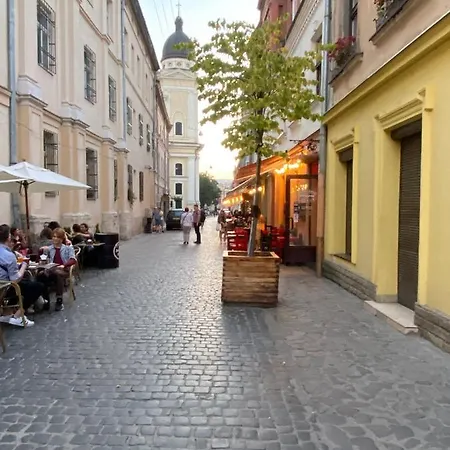 у львові на вулиці лесі українки 19 Apartment